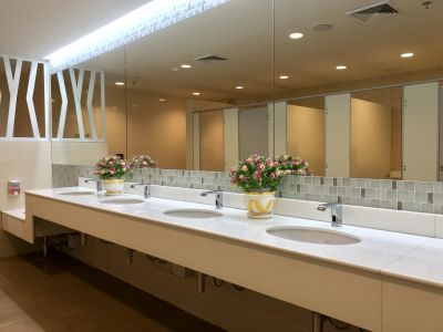Functional Vanity Areas